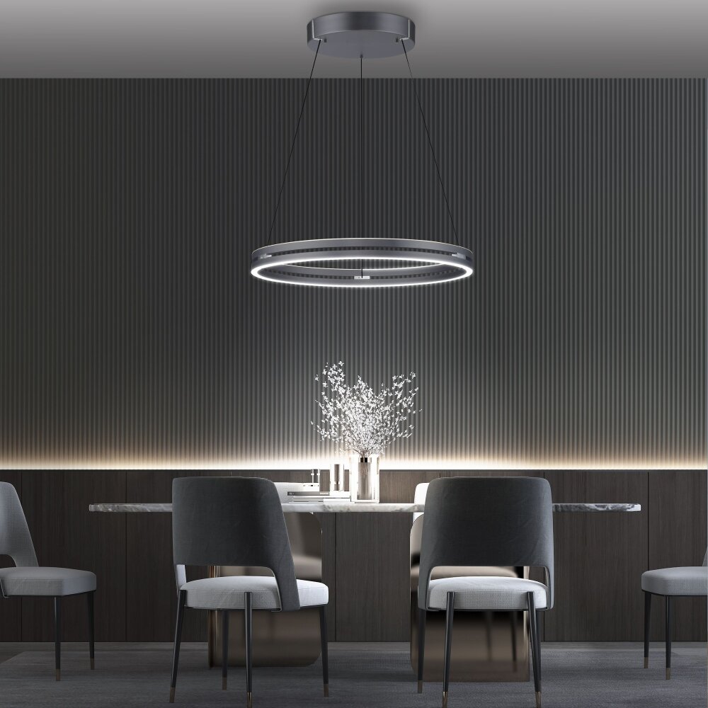 Paul-Neuhaus PURE E-LOOP Lampada a Sospensione LED Grigio, 2-Luci, Telecomando main product photo