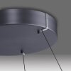 Paul-Neuhaus PURE E-LOOP Lampada a Sospensione LED Grigio, 2-Luci, Telecomando