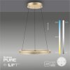 Paul-Neuhaus PURE E-LOOP Lampada a Sospensione LED Oro, 2-Luci, Telecomando