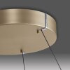 Paul-Neuhaus PURE E-LOOP Lampada a Sospensione LED Oro, 2-Luci, Telecomando
