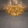 Paul-Neuhaus SAREA Plafoniera Oro, 10-Luci