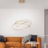 Paul-Neuhaus TESSARA Lampada a Sospensione LED Oro, 1-Luce, Telecomando