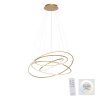 Paul-Neuhaus TESSARA Lampada a Sospensione LED Oro, 1-Luce, Telecomando