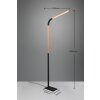 Trio NORRIS Lampada da terra LED Nero, 1-Luce