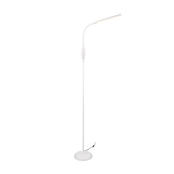 Reality TORO Lampada da terra LED Bianco, 1-Luce