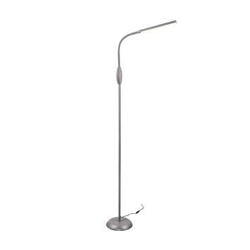 Reality TORO Lampada da terra LED Grigio, 1-Luce