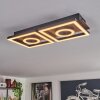 Taboneira Plafoniera LED Marrone scuro, Nero, 2-Luci