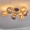 Chehalis Plafoniera - Vetro 15 cm Oro, Nero, 6-Luci