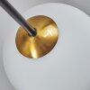 Chehalis Plafoniera - Vetro 12 cm, 15 cm Oro, Nero, 6-Luci