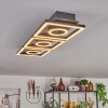 Taboneira Plafoniera LED Marrone scuro, Nero, 3-Luci