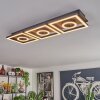 Taboneira Plafoniera LED Marrone scuro, Nero, 3-Luci