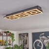 Taboneira Plafoniera LED Marrone scuro, Nero, 3-Luci