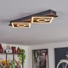 Taboneira Plafoniera LED Marrone scuro, Nero, 2-Luci