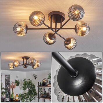 Chehalis Plafoniera - Vetro 10 cm Grigio fumo, 6-Luci Chehalis Plafoniera - Vetro 10 cm Grigio fumo, 6-Luci