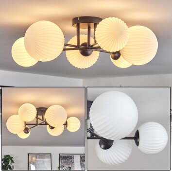 Chehalis Plafoniera - Vetro 12 cm, 15 cm Nero, 6-Luci Chehalis Plafoniera - Vetro 12 cm, 15 cm Nero, 6-Luci