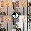 Bernado Lampada da terra - Vetro 12 cm Ambrato, 6-Luci