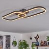 Silla Plafoniera LED Nero, 1-Luce