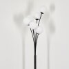 Bernado Lampada da terra - Vetro 12 cm Bianco, 6-Luci