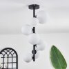 Chehalis Plafoniera - Vetro 10 cm, 12 cm, 15 cm Bianco, 8-Luci
