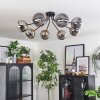 Chehalis Plafoniera - Vetro 15 cm Oro, Nero, 8-Luci