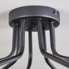 Chehalis Plafoniera - Vetro 15 cm Oro, Nero, 8-Luci