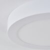 Leto Plafoniera da esterno LED Bianco, 1-Luce