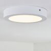 Leto Plafoniera da esterno LED Bianco, 1-Luce