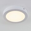 Leto Plafoniera da esterno LED Bianco, 1-Luce