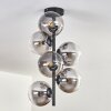 Gastor Plafoniera - Vetro 15 cm Chiaro, Grigio fumo, 6-Luci