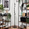 Remaisnil Lampada da terra - Vetro 15 cm Chiaro, 6-Luci