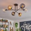 Gastor Plafoniera - Vetro 15 cm Ambrato, Chiaro, Grigio fumo, 6-Luci