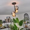 Chehalis Plafoniera - Vetro 10 cm, 12cm Ambrato, Grigio fumo, 4-Luci