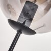 Gastor Lampada da terra - Vetro 15 cm Grigio fumo, 3-Luci