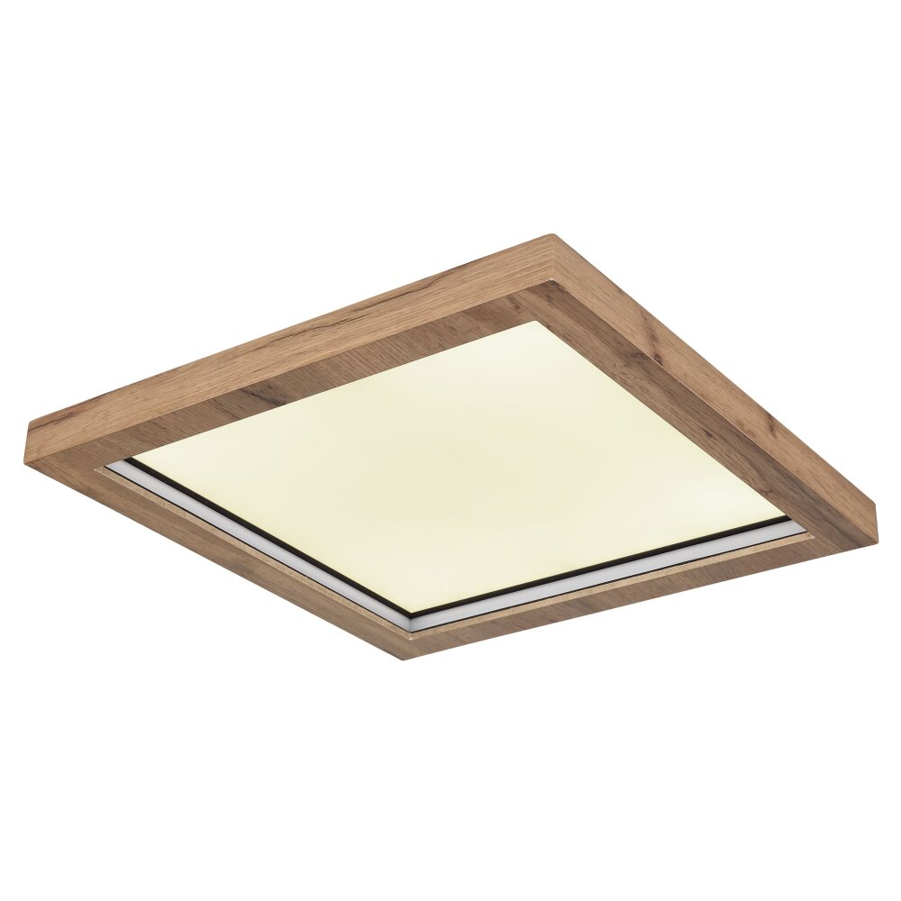 Globo BRANZA Plafoniera LED Nero, 1-Luce, Telecomando main product photo