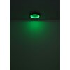 Globo BRANZA Plafoniera LED Nero, 1-Luce, Telecomando