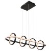 Globo WOLFHARD Lampadario a sospensione LED Nero, Bianco, 1-Luce, Telecomando