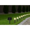 Globo SOLAR Lampioncino Segnapasso LED Nero, Trasparente, chiaro, 20-Luci, Cambia colore