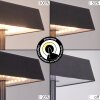 Algeraz Lampada da tavolo LED Nero, 1-Luce