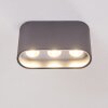 Dalarna Plafoniera LED Grigio, Argento, 1-Luce