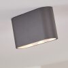 Dalarna Plafoniera LED Grigio, Argento, 1-Luce