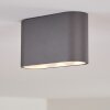 Dalarna Plafoniera LED Grigio, Argento, 1-Luce