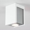 Braslo Plafoniera Grigio, Bianco, 1-Luce
