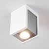 Braslo Plafoniera Grigio, Bianco, 1-Luce
