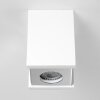 Braslo Plafoniera Grigio, Bianco, 1-Luce