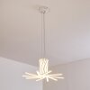 Bangor Lampadario a sospensione LED Bianco, 1-Luce