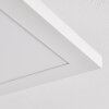 Barasat Plafoniera LED Bianco, 1-Luce