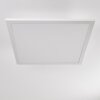 Barasat Plafoniera LED Bianco, 1-Luce