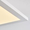 Barasat Plafoniera LED Bianco, 1-Luce