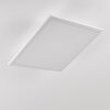 Barasat Plafoniera LED Bianco, 1-Luce