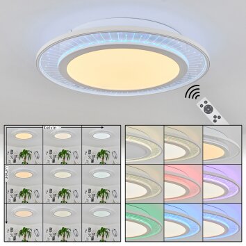 Haumonia Plafoniera LED Bianco, 2-Luci, Telecomando, Cambia colore